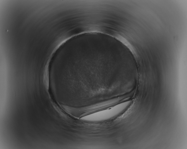 X0000094181127200711161722