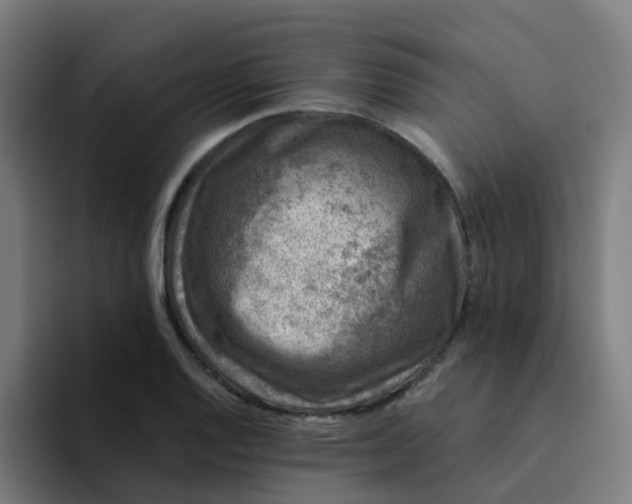 X0000094181128200711161722