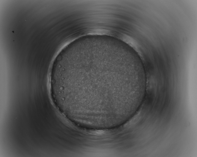 X0000094181130200711161722