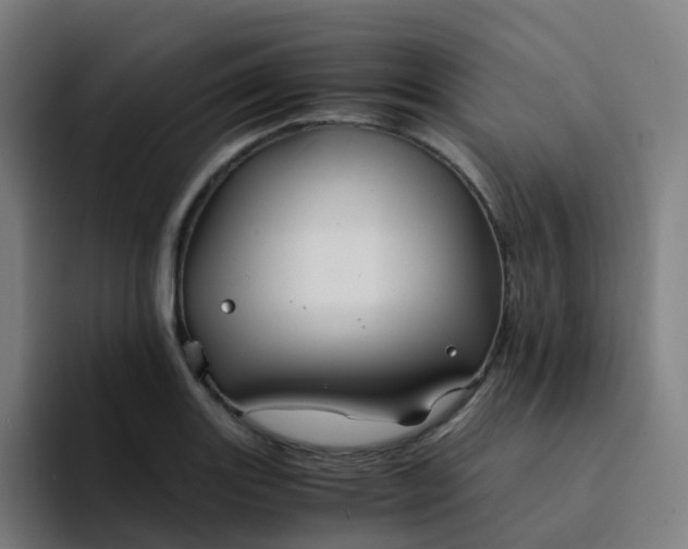 X0000094181131200711161722