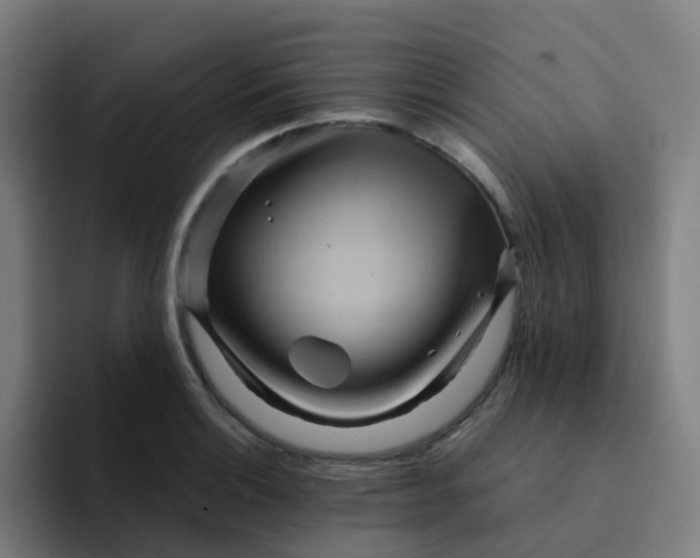 X0000094181132200711161722
