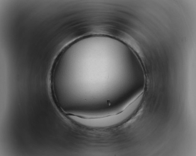 X0000094181133200711161722