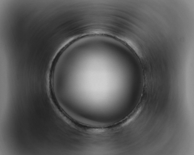 X0000094181134200711161722