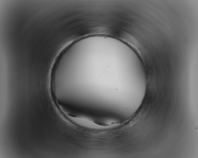 X0000094181135200711161722
