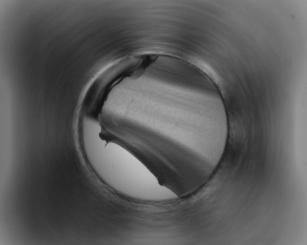 X0000094181138200711161723