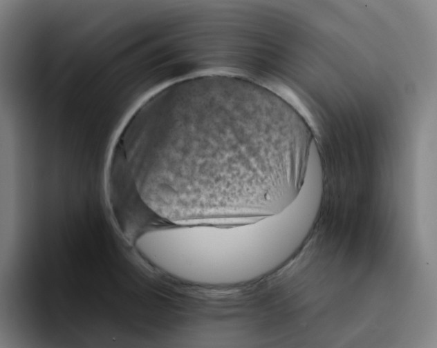 X0000094181140200711161723