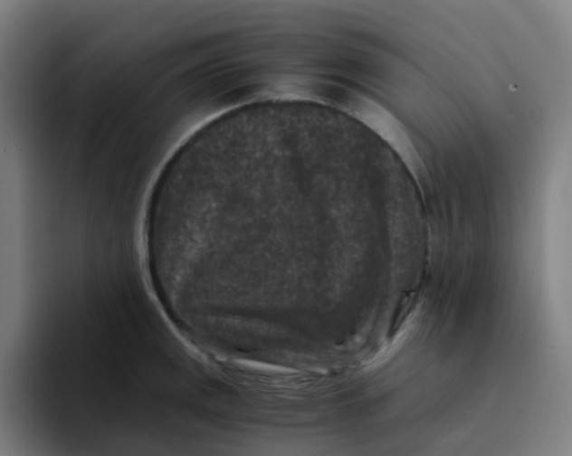 X0000094181141200711161723