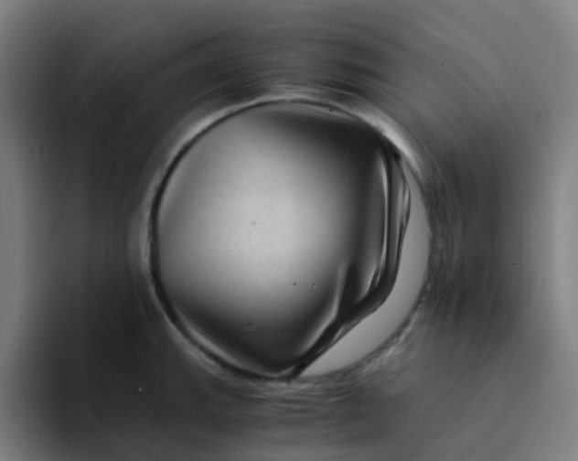 X0000094181143200711161723