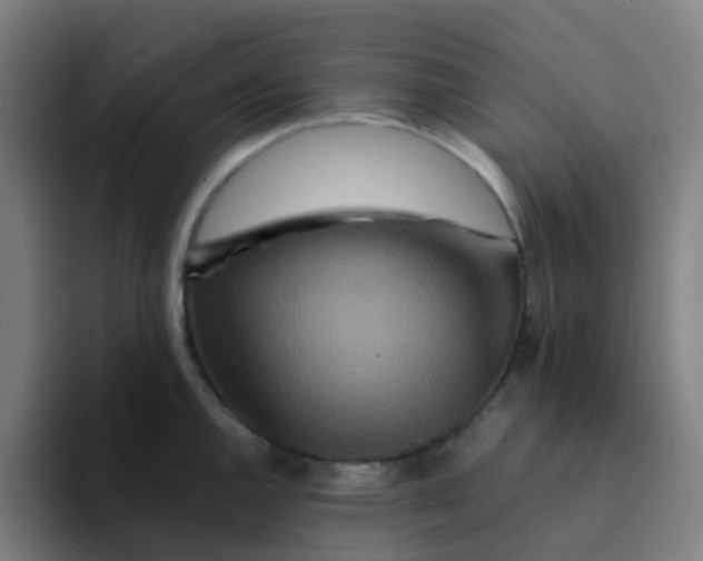 X0000094181144200711161723