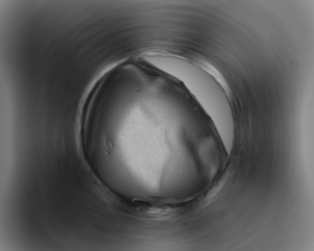 X0000094181146200711161723