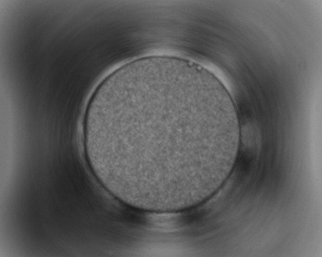 X0000094181150200711161723
