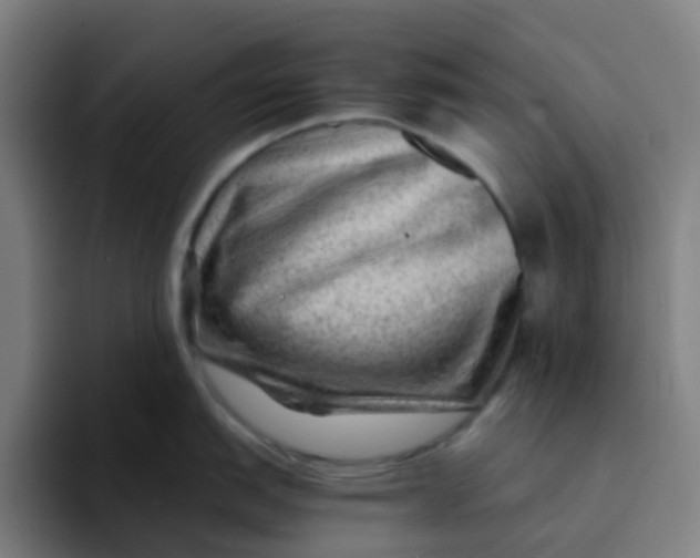 X0000094181151200711161723