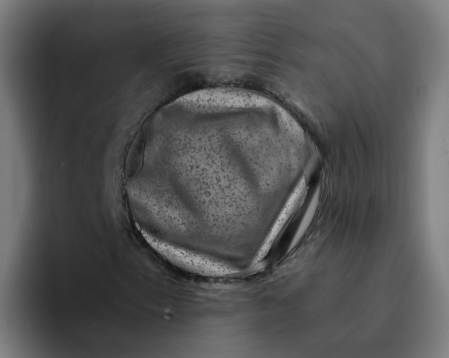 X0000094181153200711161722
