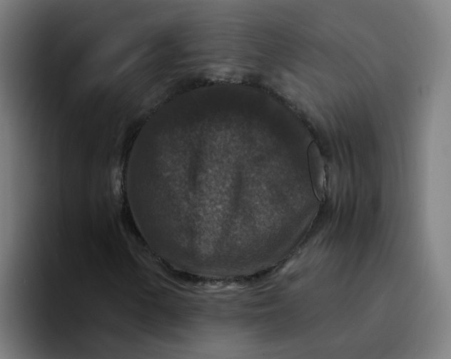 X0000094181154200711161722