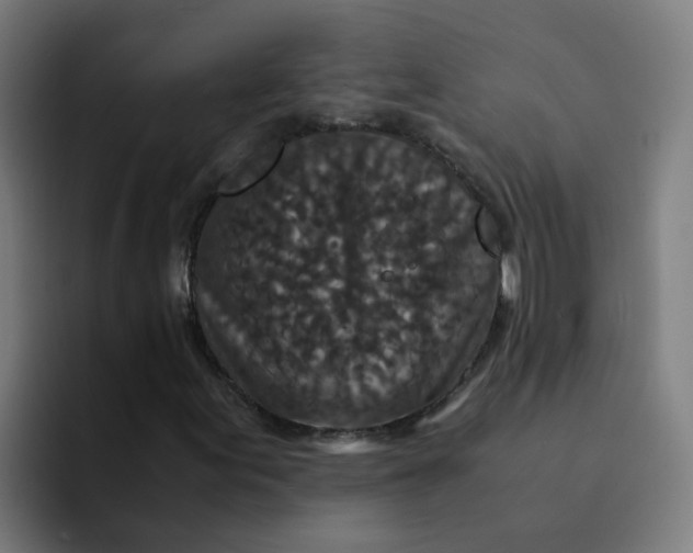 X0000094181155200711161722