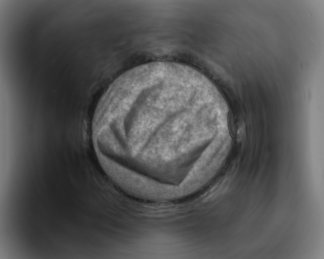 X0000094181156200711161722