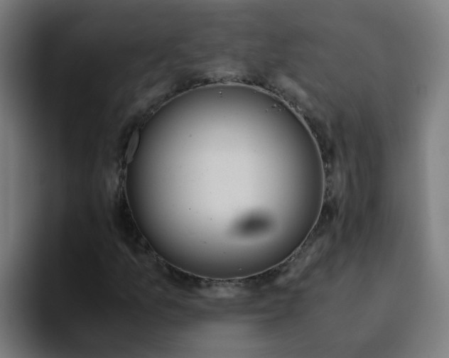 X0000094181157200711161722