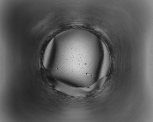 X0000094181159200711161722