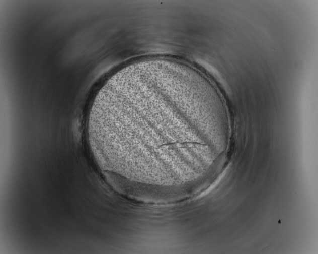 X0000094181163200711161722
