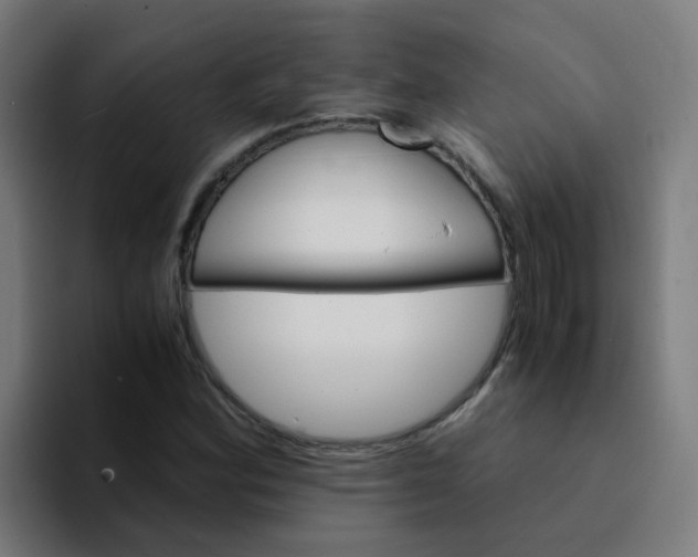 X0000094181164200711161722