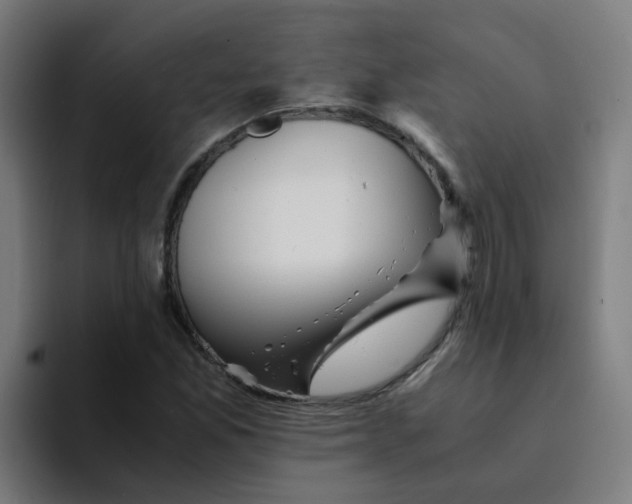 X0000094181165200711161722