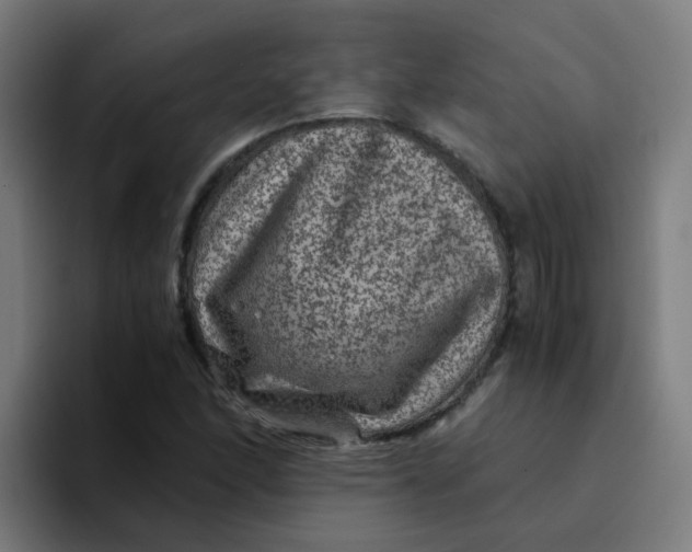 X0000094181166200711161722