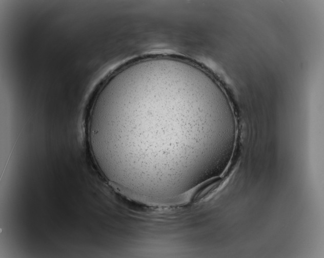 X0000094181167200711161722