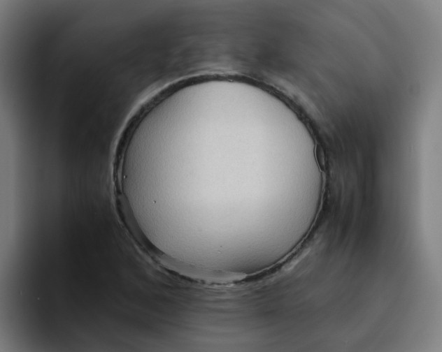 X0000094181168200711161722