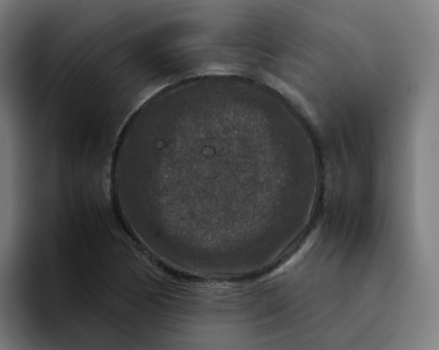 X0000094181170200711161722