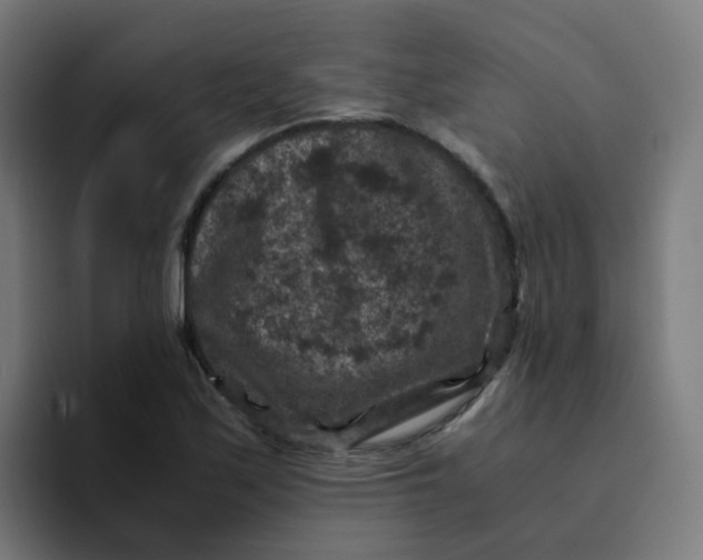 X0000094181171200711161722
