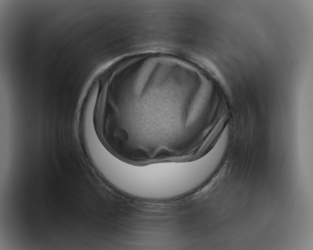 X0000094181172200711161722