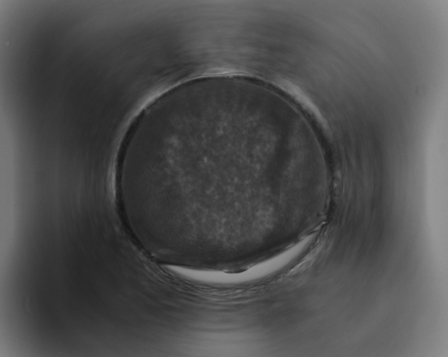 X0000094181173200711161722