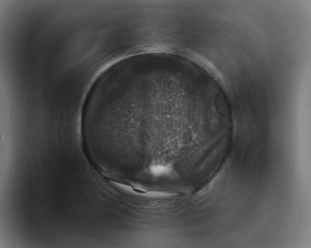 X0000094181174200711161722