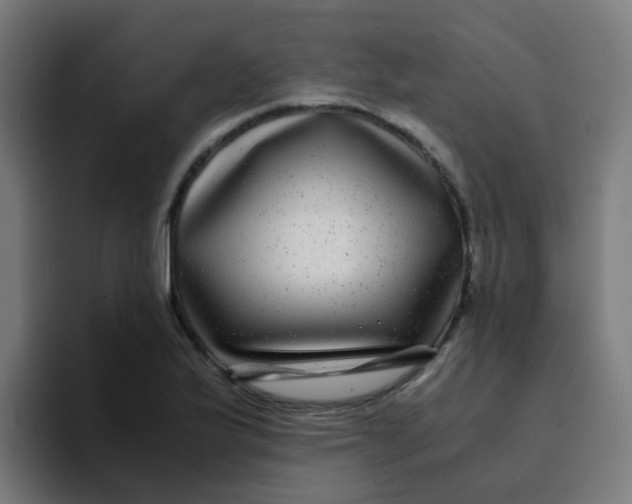X0000094181175200711161722