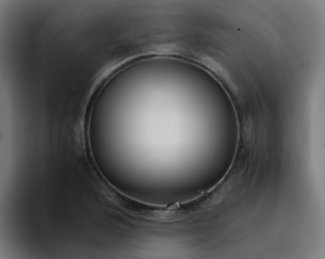 X0000094181176200711161722