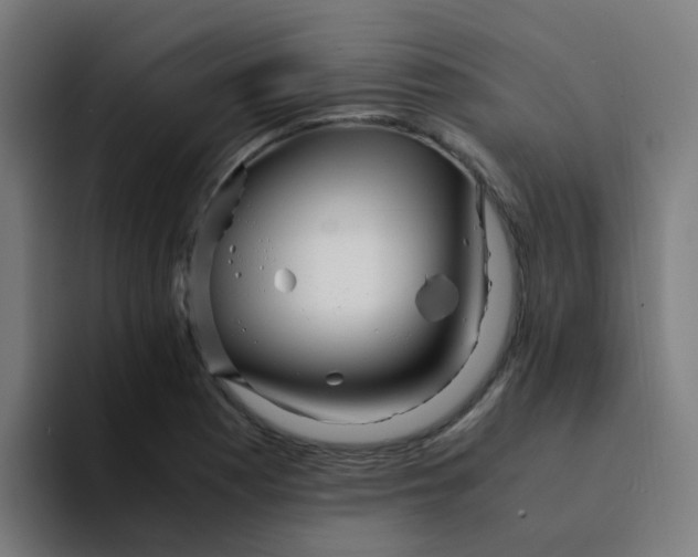X0000094181177200711161722