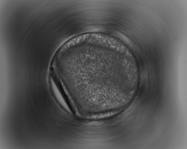 X0000094181178200711161722