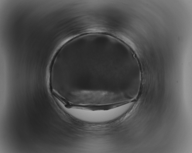 X0000094181179200711161722