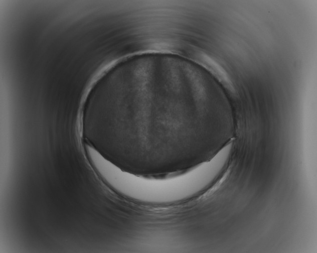 X0000094181180200711161722