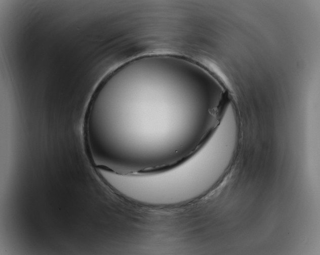 X0000094181181200711161722