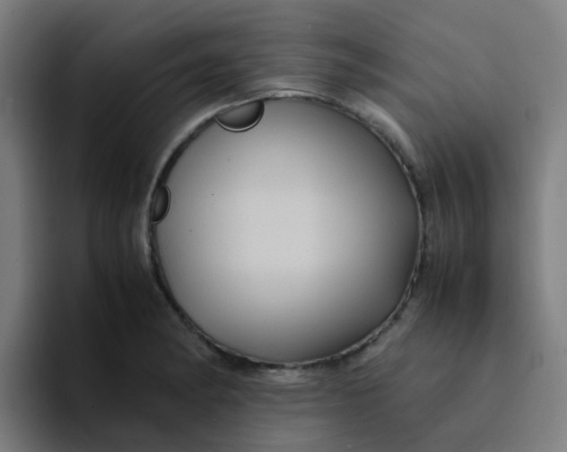 X0000094181182200711161722