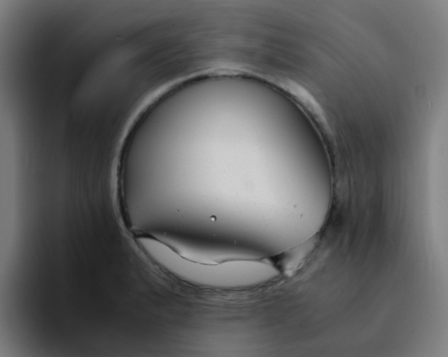 X0000094181183200711161722