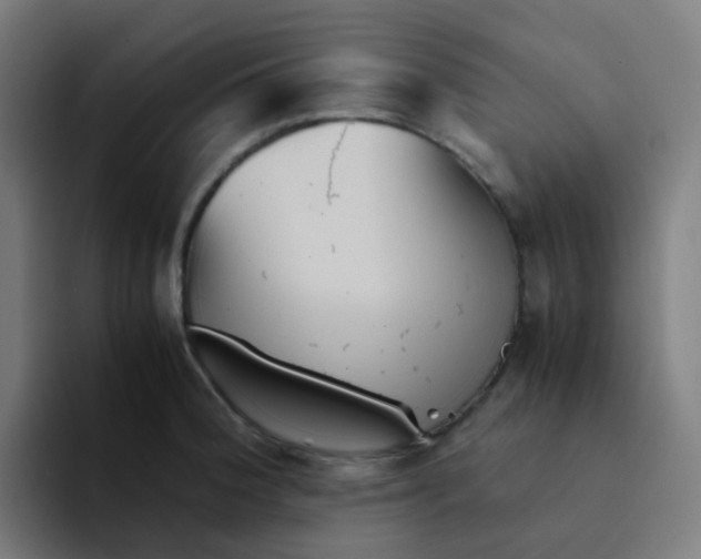 X0000094181188200711161722