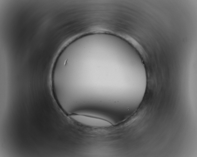 X0000094181191200711161722