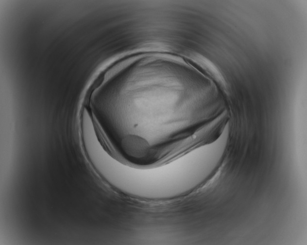 X0000094181192200711161722