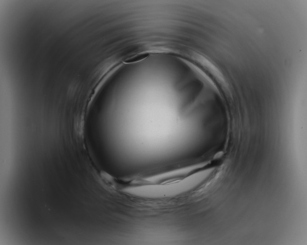 X0000094181193200711161722