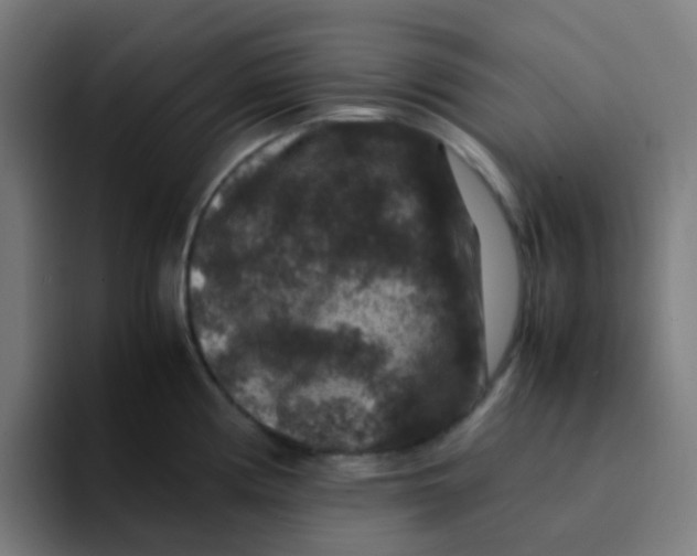 X0000094181194200711161722
