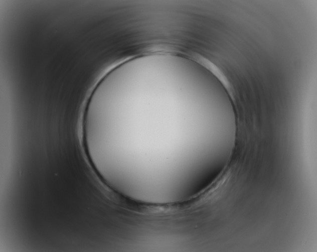 X0000094181195200711161722