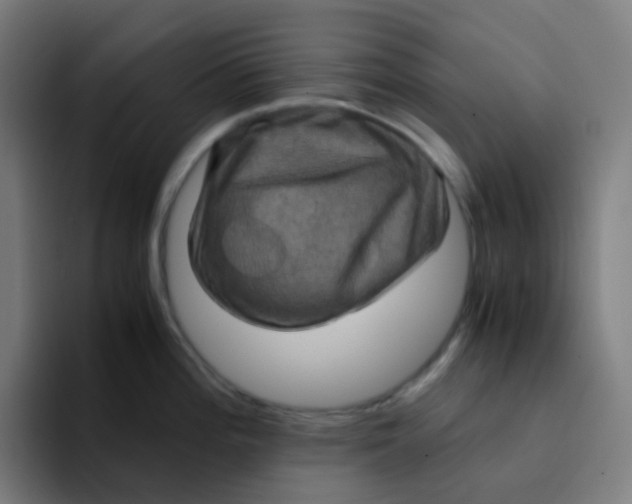 X0000094181196200711161722