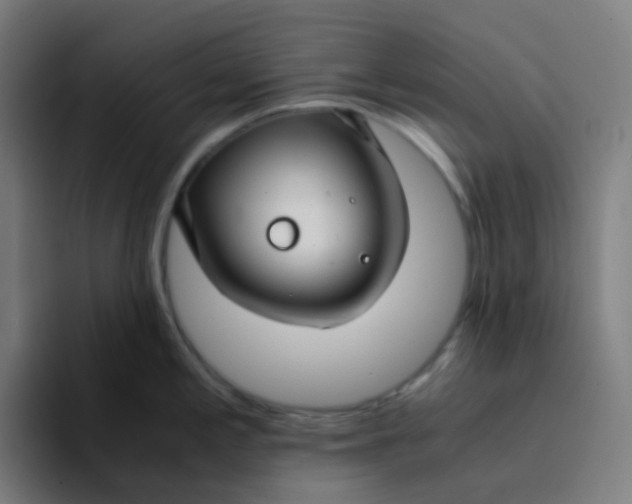 X0000094181197200711161722